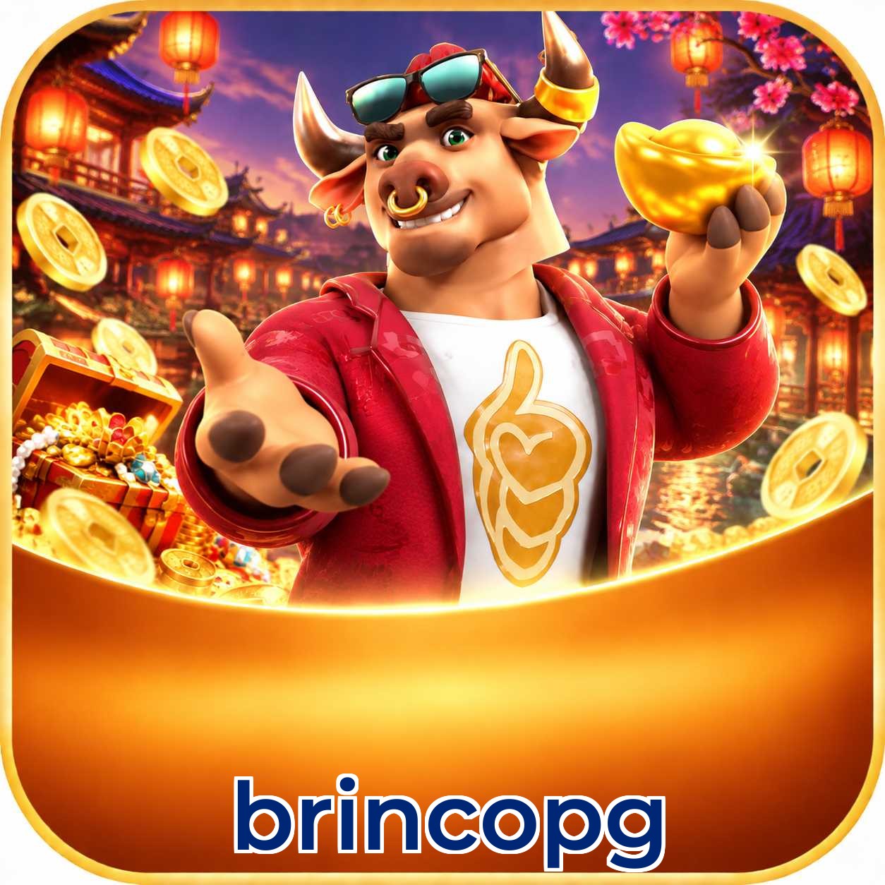 brincopg Interface